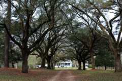 best plantations to visit in natchez ms