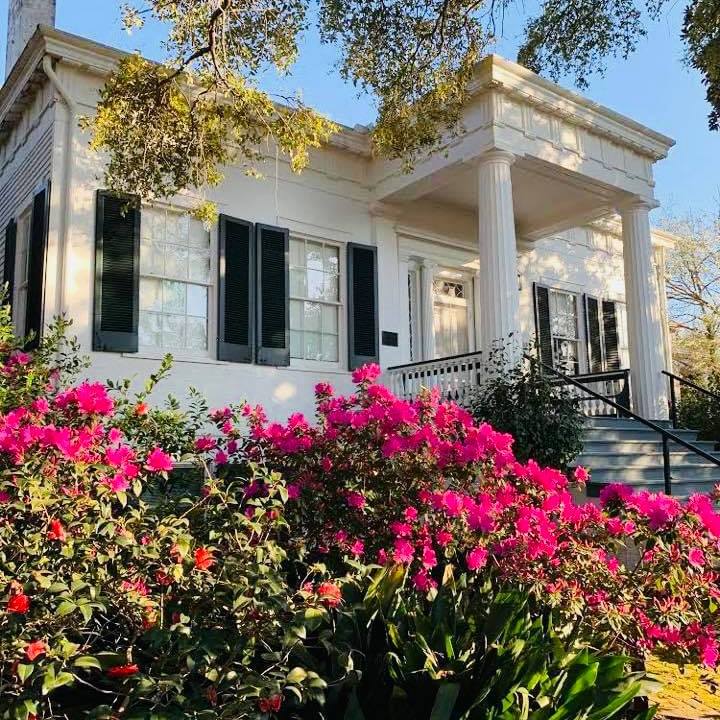a close up of a flower garden in front of a building
