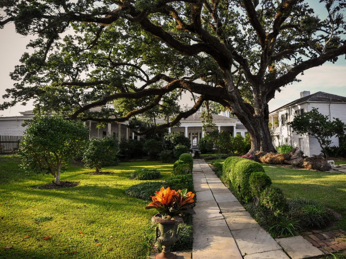 Natchez Pilgrimage Tours Mississippi Historic Home Tours