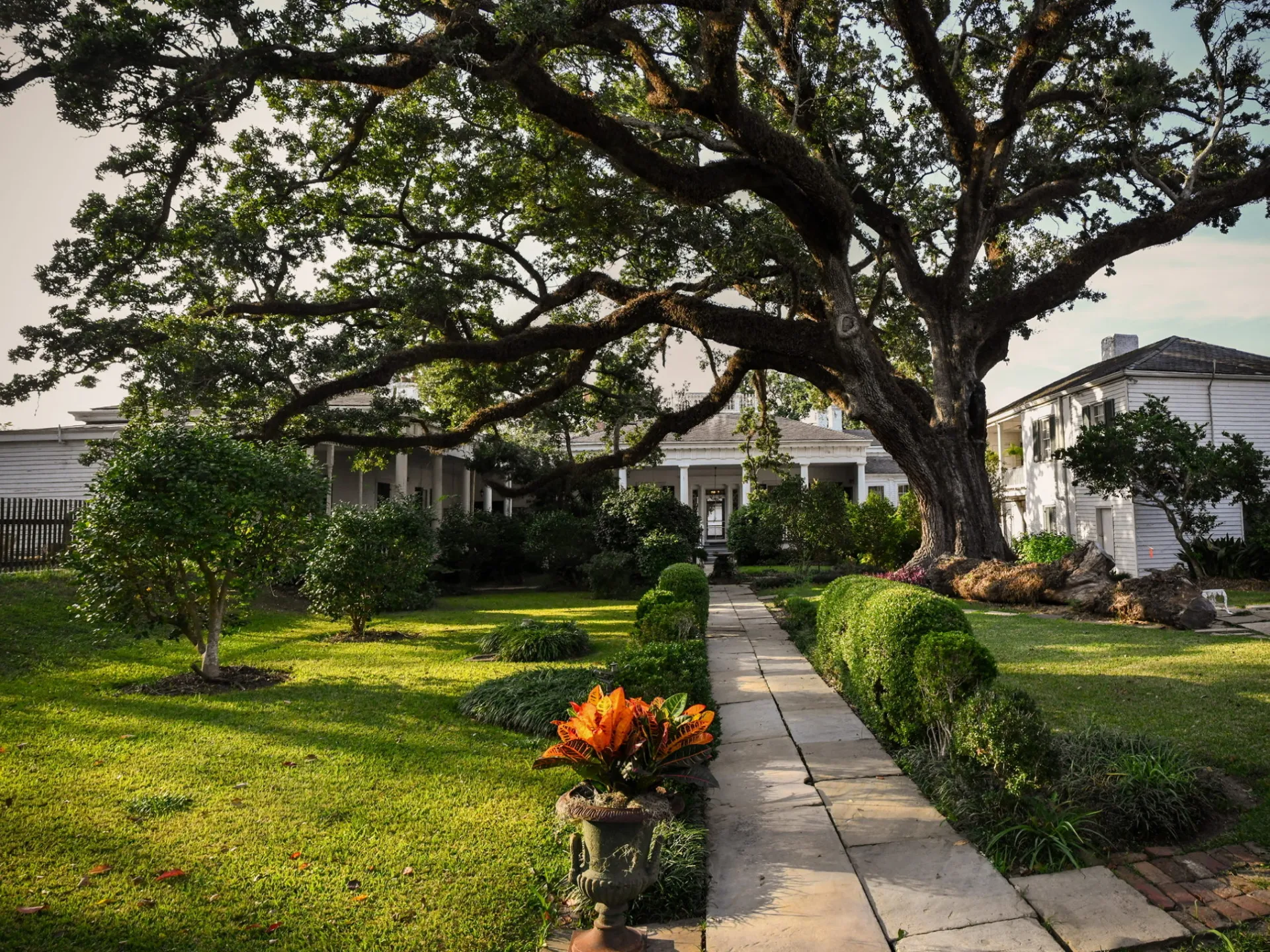 a tree in front of a house