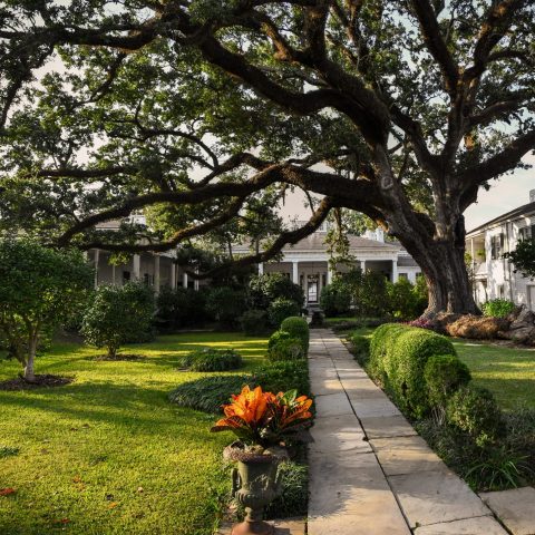 a tree in front of a house