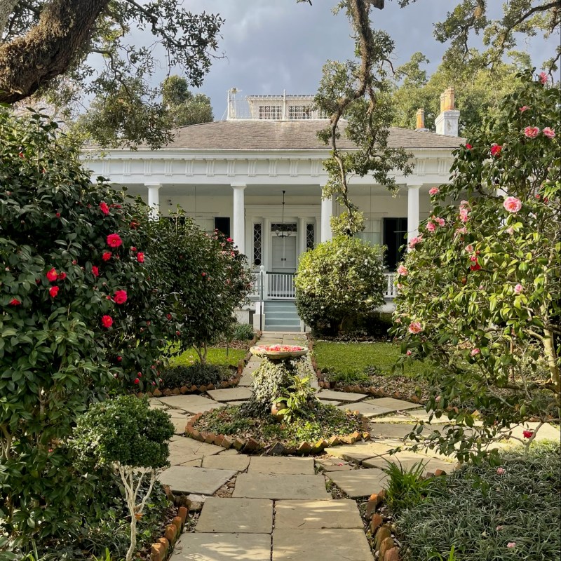 a close up of a flower garden in front of a house