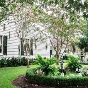 a tree in front of a house