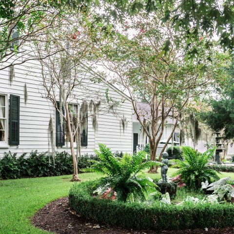 a tree in front of a house