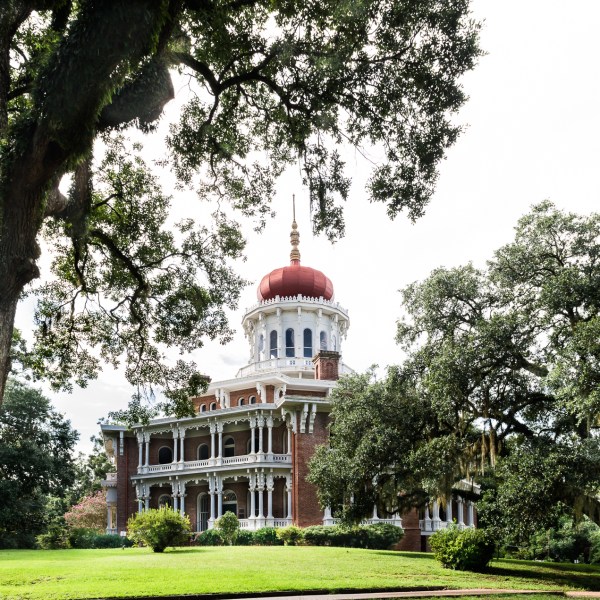 a large tree in front of a house