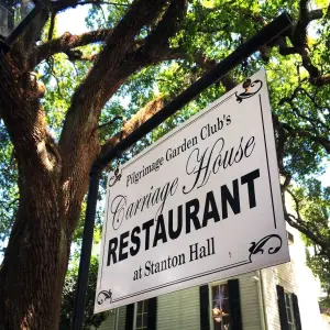 a sign hanging from a tree