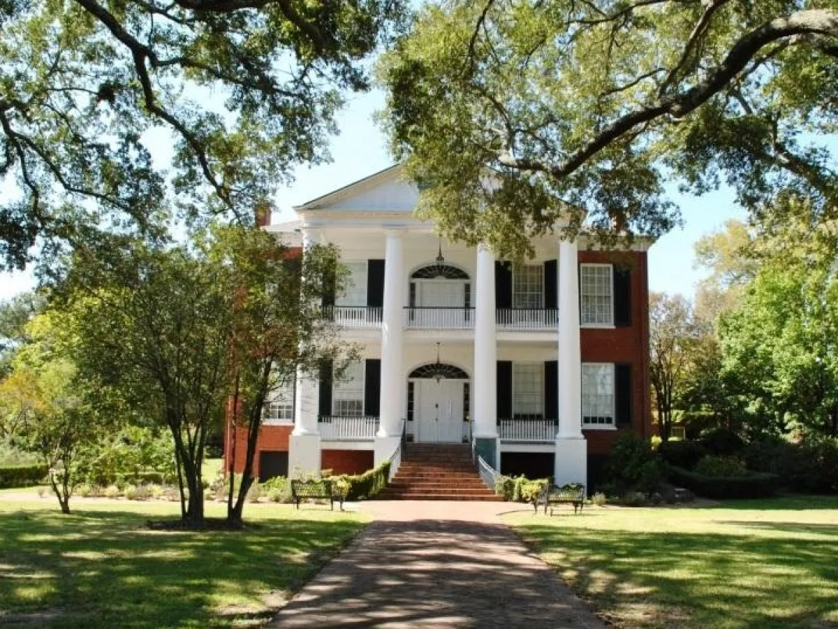 a tree in the middle of the street with Rosalie Mansion in the background