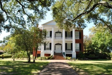 a tree in the middle of the street with Rosalie Mansion in the background