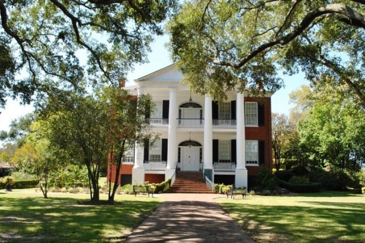 a tree in the middle of the street with Rosalie Mansion in the background