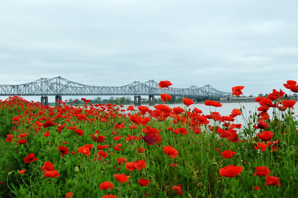 Year-Round Tours in Mississippi - Natchez Pilgrimage Tours