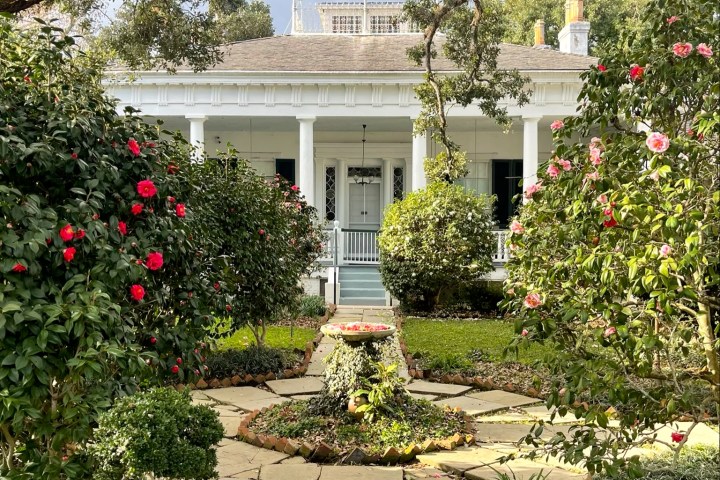 a close up of a flower garden in front of a house