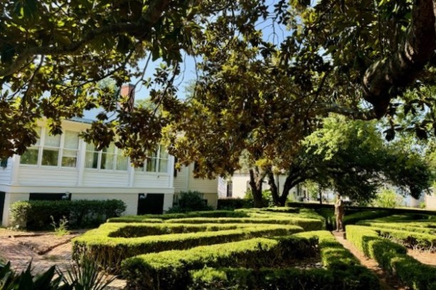 a tree in front of a house