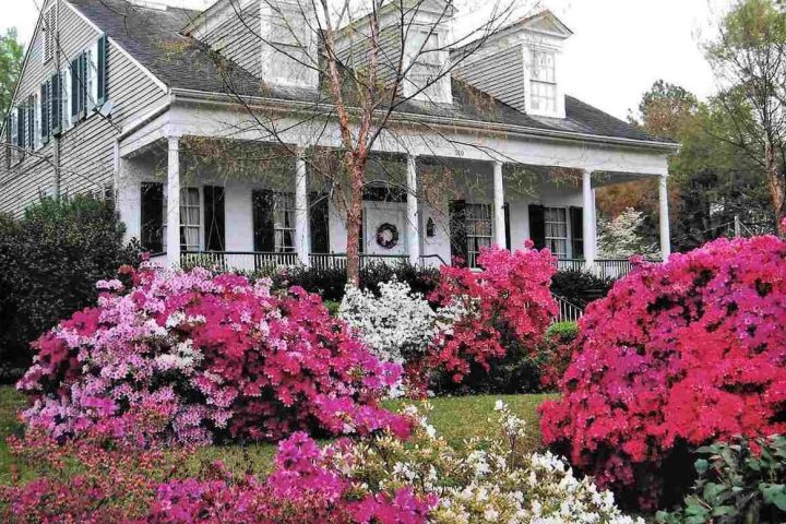 a colorful flower garden in front of a house