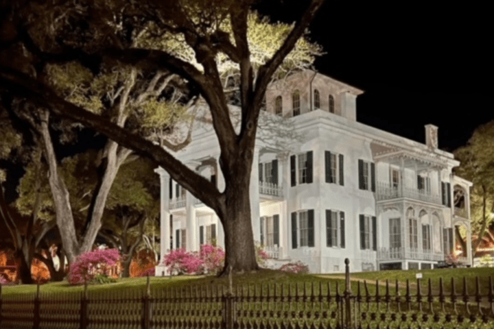 a tree in front of a building
