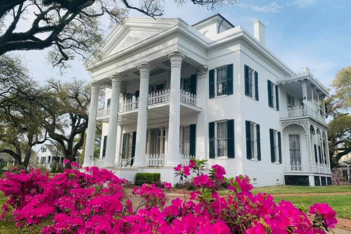 a large pink flower in front of Seguine Mansion