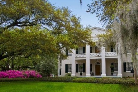 a tree in front of a house