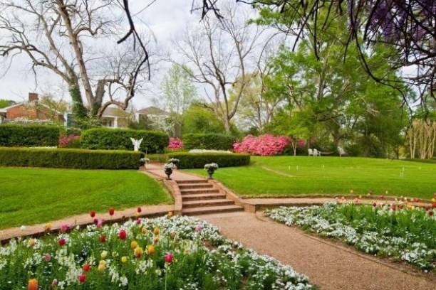 a close up of a flower garden
