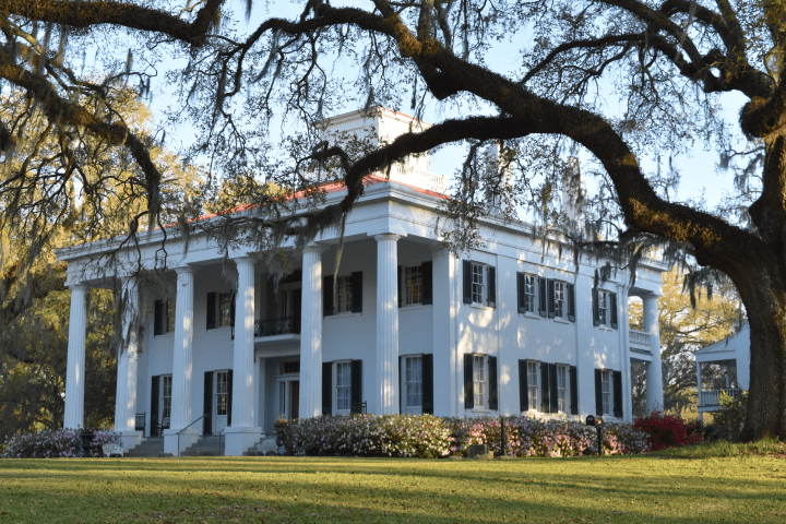 Historic white mansion with columns and trees in foreground.