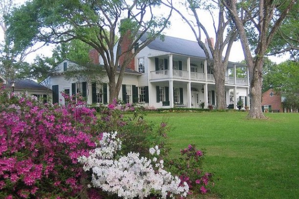 Large white colonial house with columns, surrounded by trees and pink, white flowers.