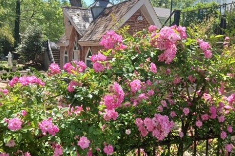 Small brick house with conical roof, surrounded by pink roses and trees.