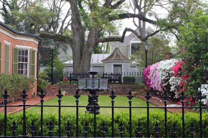 Garden with blooming flowers, brick house, wrought iron fence, and large tree in background.